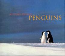 Mitsuaki Iwago's Penguins cover