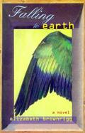 Falling to Earth A Novel cover