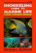 Snorkeling Guide to Marine Life Florida Caribbean Bahamas cover