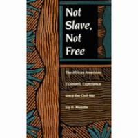 Not Slave, Not Free The African Economic Experience Since the Civil War cover