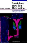 Multiphase Flow and Fluidization Continuum and Kinetic Theory Descriptions cover