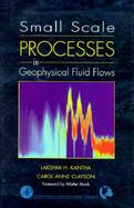 Small Scale Processes in Geophysical Fluid Flows cover
