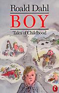 Boy : Tales of Childhood cover