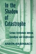 In the Shadow of Catastrophe German Intellectuals Between Apocalypse and Enlightenment cover