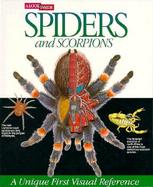 A Look Inside Spiders and Scorpions cover