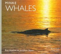 Minke Whales cover