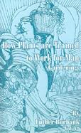 How Plants Are Trained to Work for Man Gardening cover