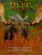 Rut: Spectacular Fall Ritual of North American Horned and Antlered Animals cover