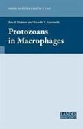Protozoans in Macrophages cover