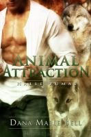 Animal Attraction cover