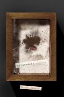 Biogenesis and Other Stories cover