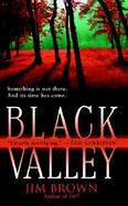 Black Valley cover
