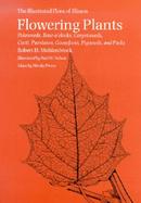 Flowering Plants Pokeweed, Four-O'Clocks, Carpetweeds, Cacti, Purslanes, Goosefoots, Pigweeds, and Pinks cover