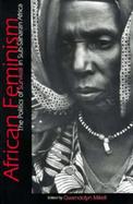 African Feminism The Politics of Survival in Sub-Saharan Africa cover