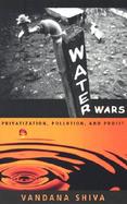 Water Wars Privatization, Pollution, and Profit cover