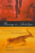 Racing the Antelope: What Animals Can Teach Us about Running and Life cover
