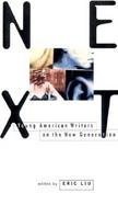 Next Young American Writers on the New Generation cover