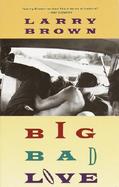 Big Bad Love Stories cover