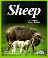 Sheep Everything About Housing, Care, Feeding, and Sicknesses/Special Chapter  Milking and What to Do With the Milk, Shearing and Processing the W cover