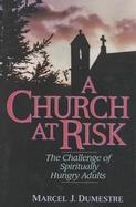 A Church at Risk: The Challenge of Spiritually Hungry Adults cover