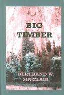 Big Timber cover