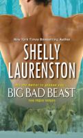 Big Bad Beast cover