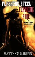 Flashing Steel, Flashing Fire : A Short Story Collection cover