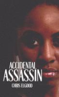 Accidental Assassin cover