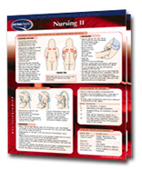 Nursing II Chart-Two Panel Chart cover