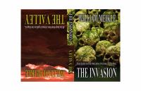 The Invasion / the Valley cover