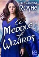 A Meddle of Wizards cover