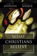 What Christians Believe An Overview of Theology and Its Biblical and Historical Development cover