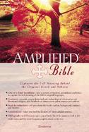 Amplified Bible Burgundy Bonded Leather cover