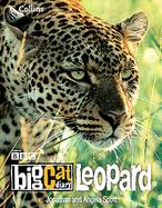 Leopard cover