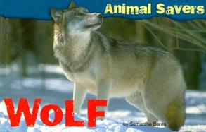 Wolf with Book and Other and Postcard cover