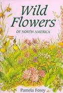 Wild Flowers of North America cover