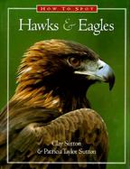 How to Spot Hawks and Eagles cover