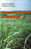 Plantation Slavery in Barbados An Archeological and Historical Investigation cover