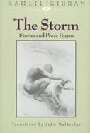 The Storm: Stories and Prose Poems cover