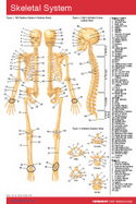 Skeletal System Pocket Chart cover