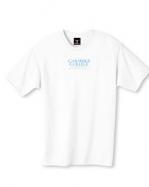 Cabarrus College of Health Sciences Hanes Beefy-T (Medium, White) cover