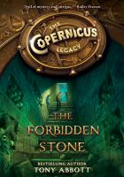 The Forbidden Stone cover