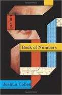 Book of Numbers : A Novel cover