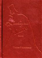 The Little Brown Book of Bizarre Stories cover