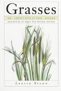 Grasses An Identification Guide cover