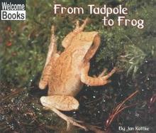 From Tadpole to Frog cover
