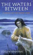 The Waters Between: A Novel of the Dawn Land cover