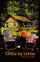 Little by Little cover