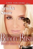 Blood Rush cover