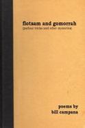Flotsam and Gomorrah : (parlour Tricks and Other Mysteries) cover